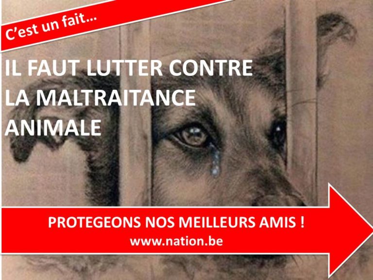 2020 quelle lettre pour les animaux